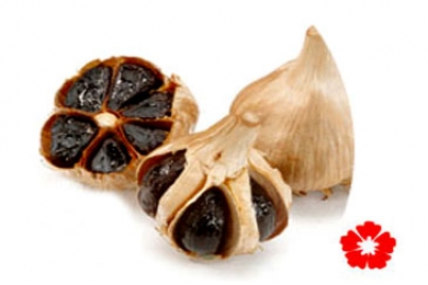 Tỏi đen nhiều nhánh